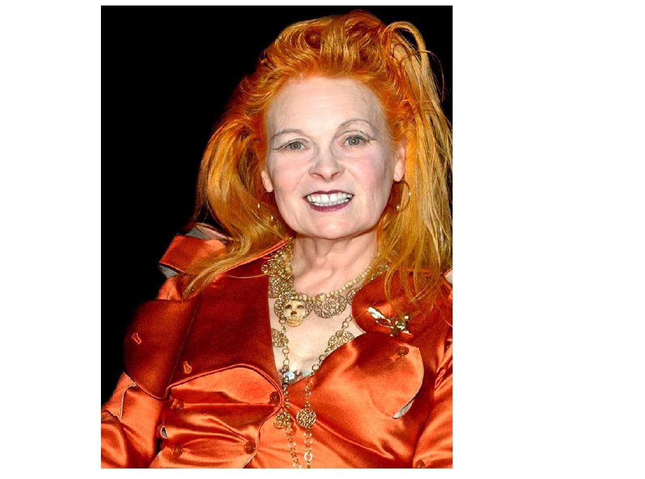 You are currently viewing Vivienne Westwood Biography and Family Members