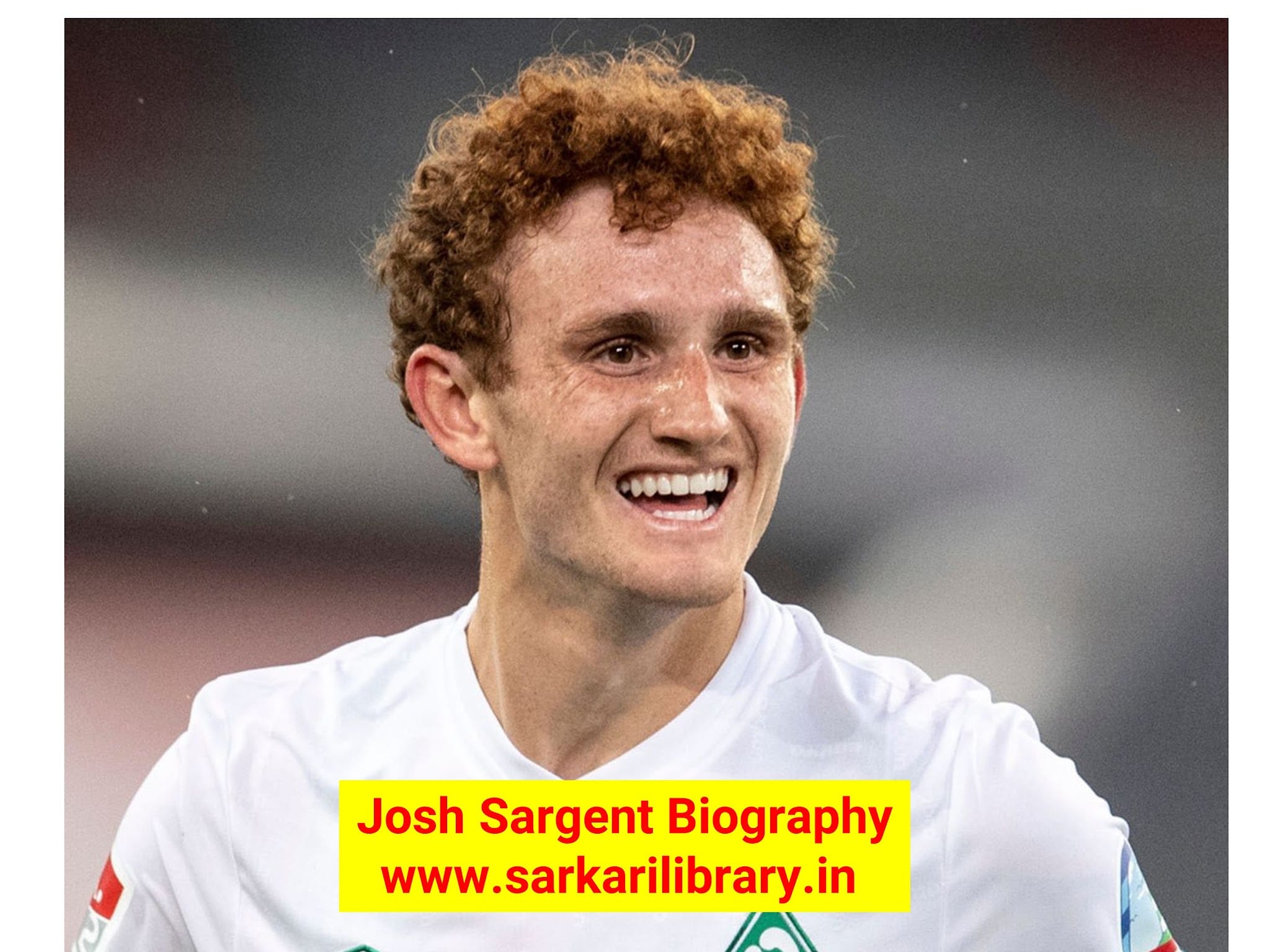 You are currently viewing Josh sargent Biography with family members pics